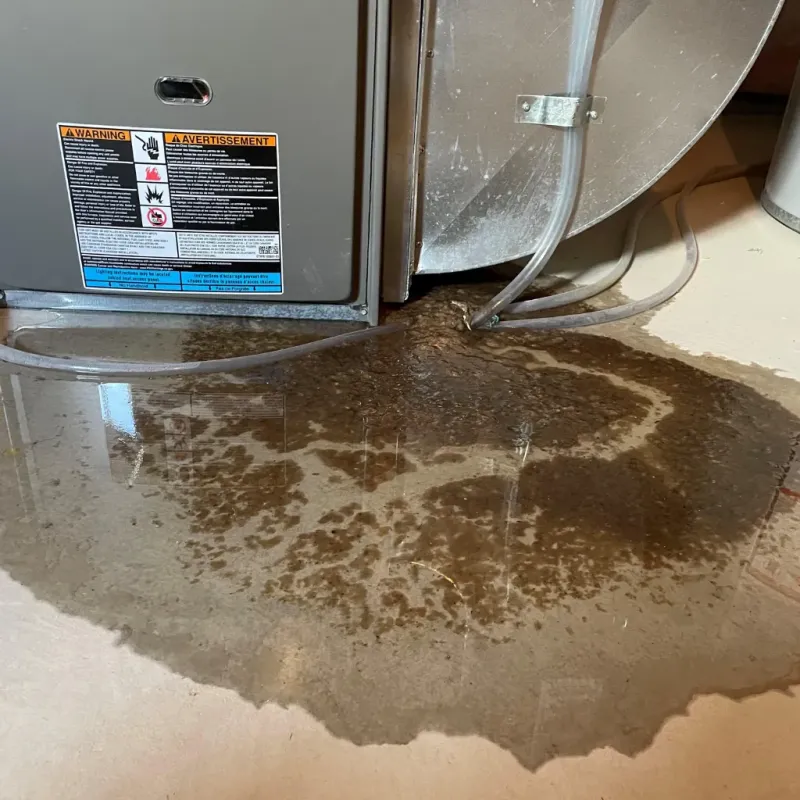 Appliance Leak Cleanup in Antigo, WI